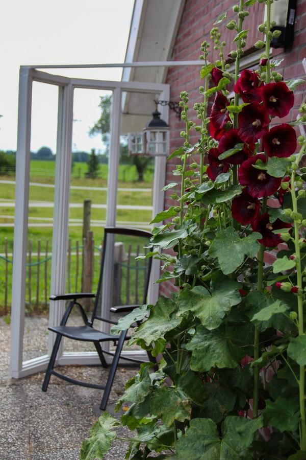 Holiday home Gastenhuis De Veenstraal